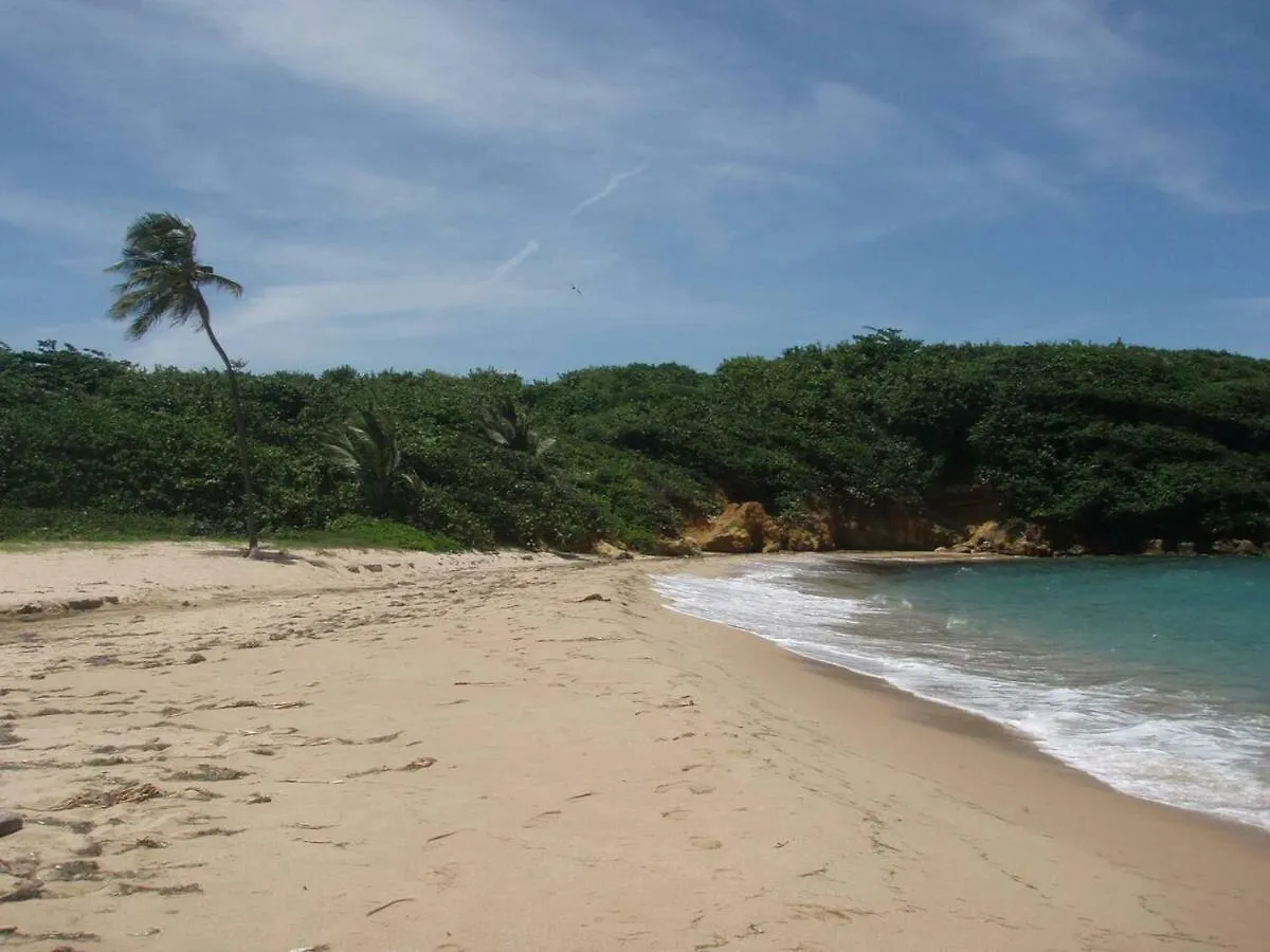Gardenia- 3Br Dorado- Ocean Views + 3 Pools Villa
